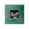Stupell Industries Spotted Owls Perched Rustic Green Door Ledge Canvas Wall Art